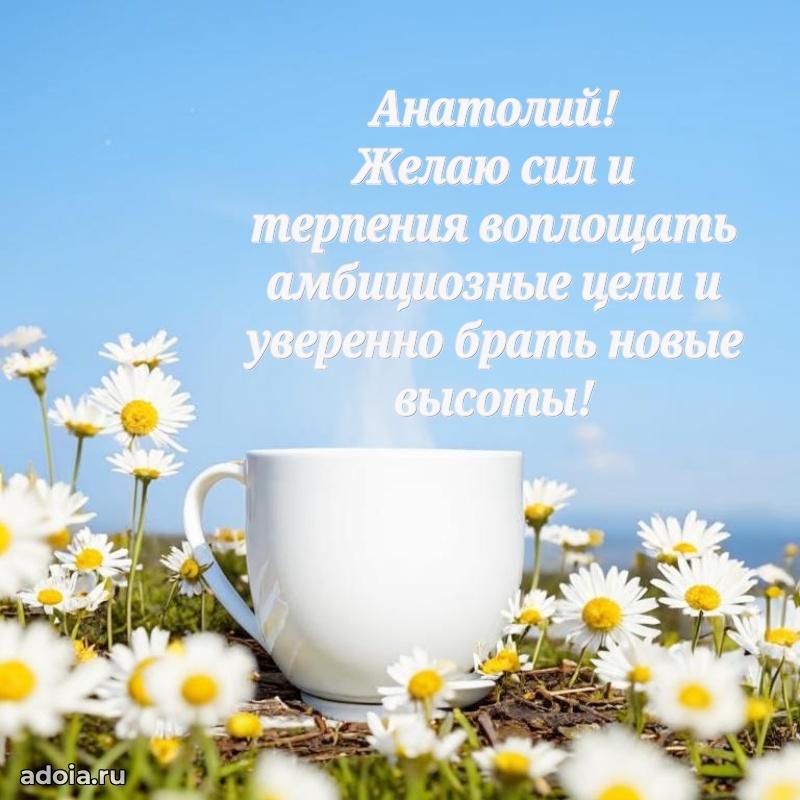 Открытка Анатолию праздничная