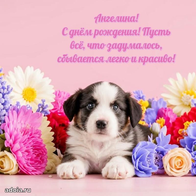 Яркая гифка Ангелине с днем рождения