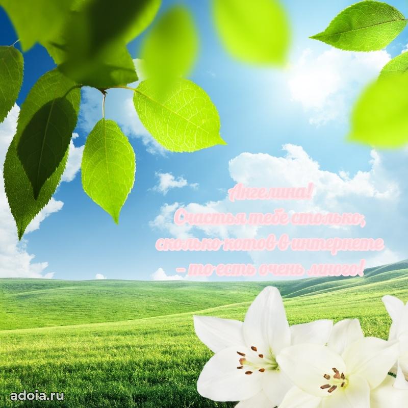 Современная открытка племяннице