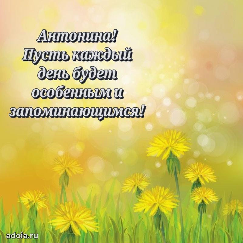 Яркая гифка Антонине с днем рождения