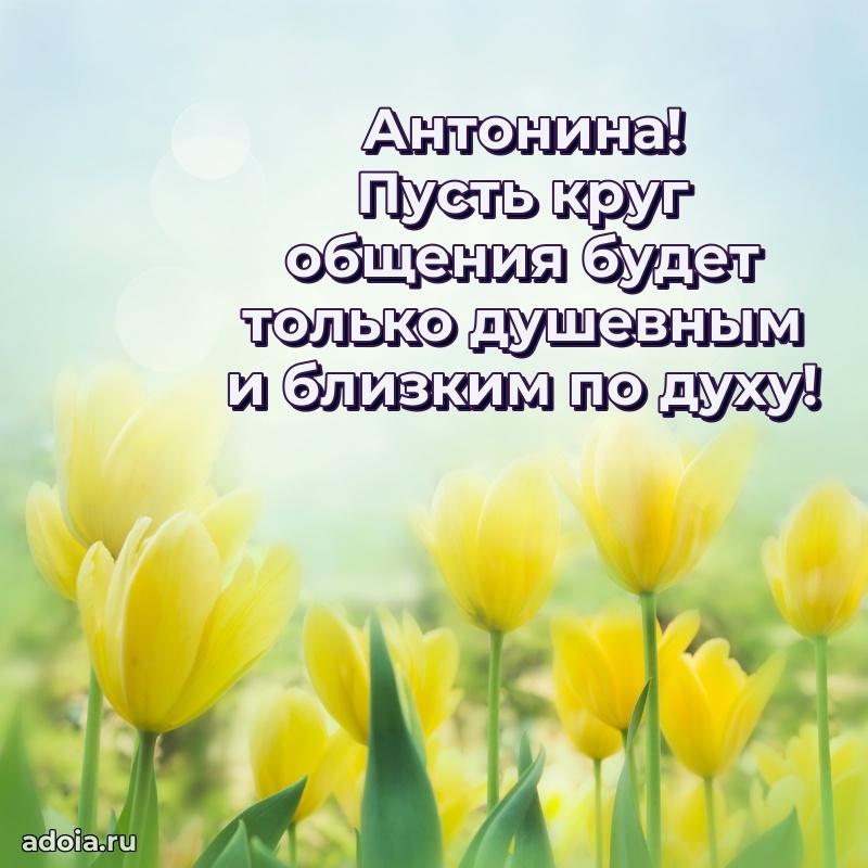 Новые открытки с днем рождения праздничные Антонине
