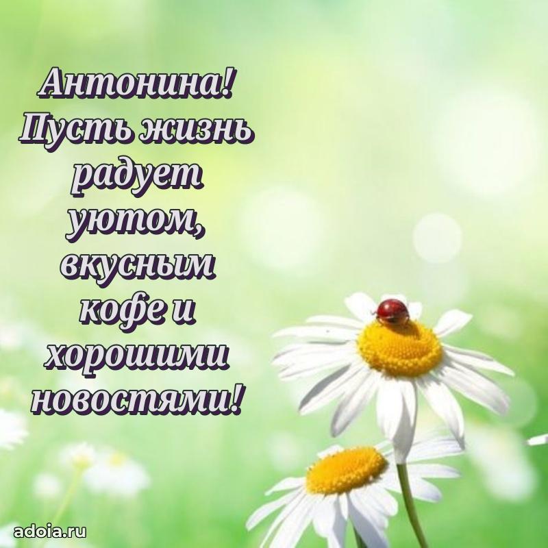 Картинка дочери Антонине