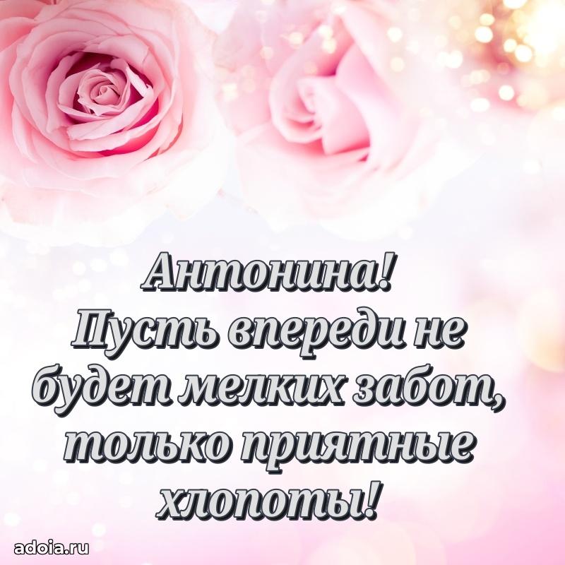 Мерцающая картинка Антонине с днем рождения
