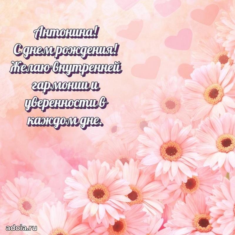 Яркая гифка Антонине с днем рождения