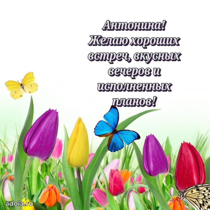 Пожелания маме Антонине