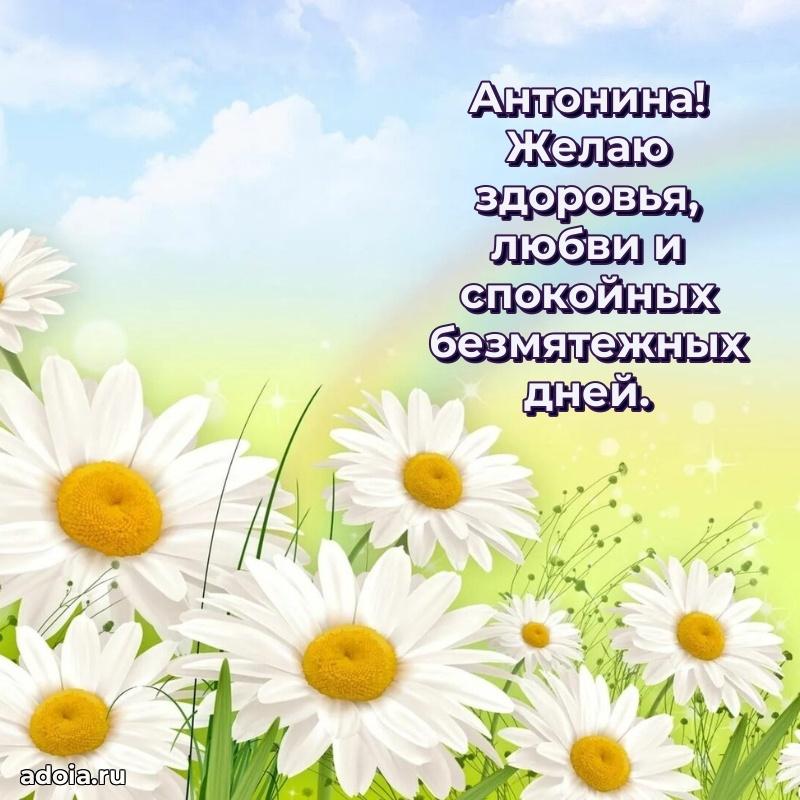 Поздравление Антонине праздничные своими словами в прозе
