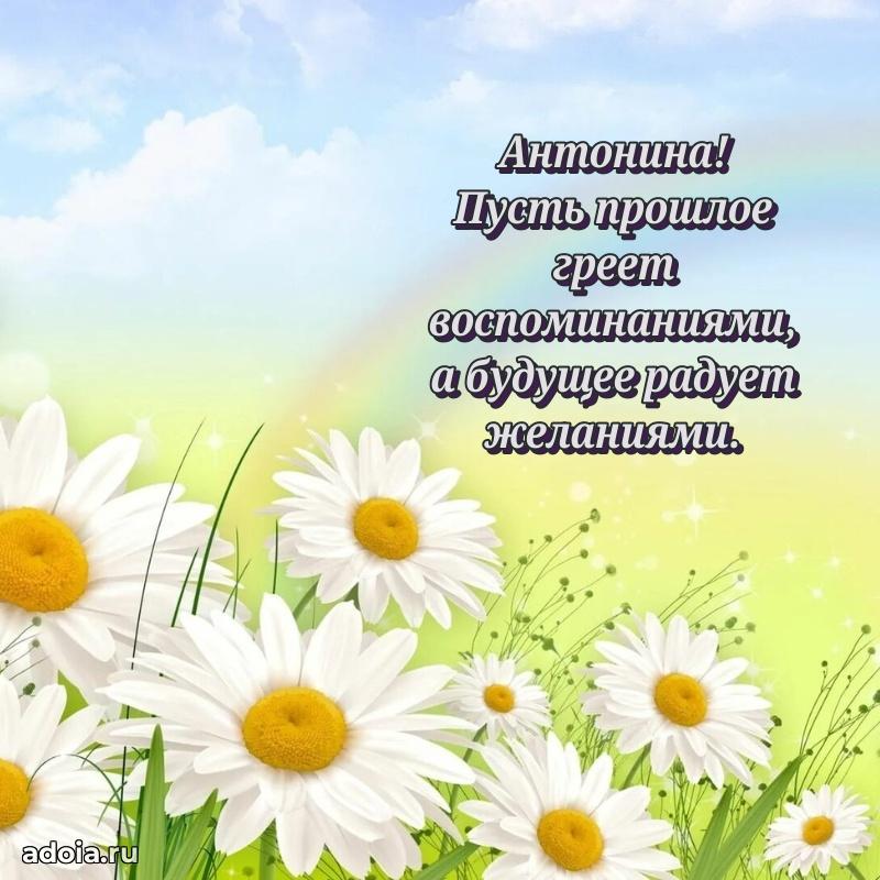 Открытка с пожеланиями Антонине для ватсапа
