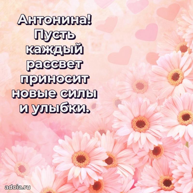 Яркая гифка Антонине с днем рождения