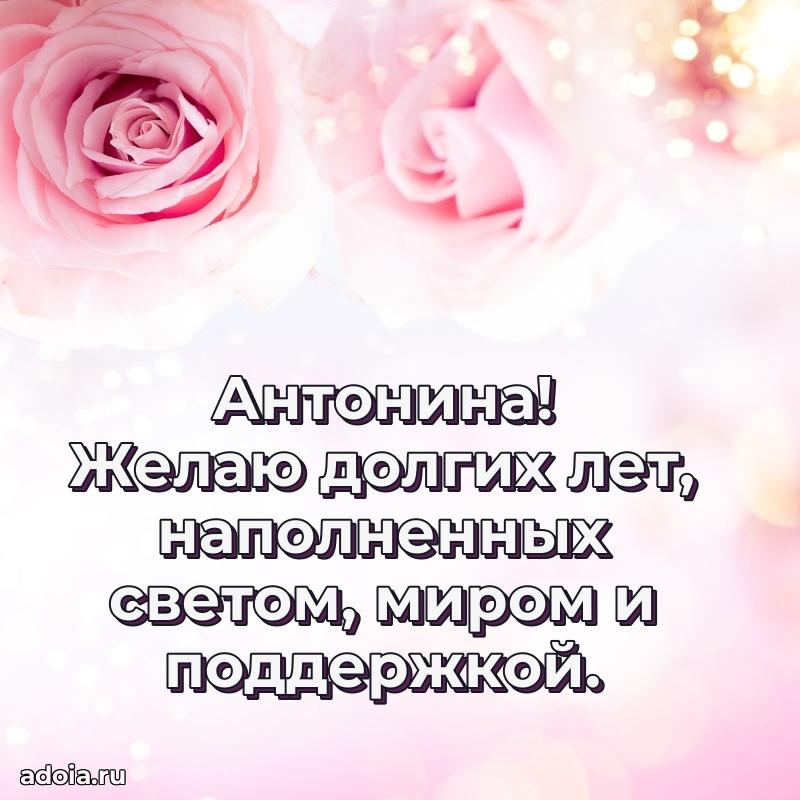 Открытка для ватсап с днем рождения Антонине