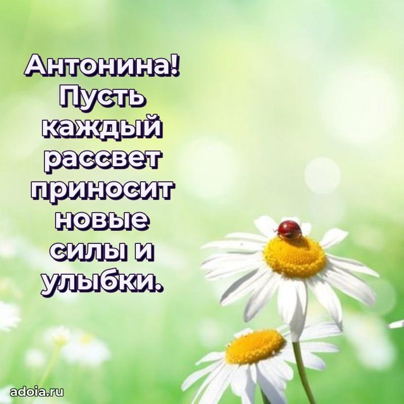Пожелания маме Антонине