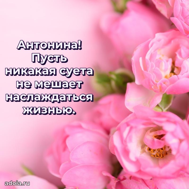 Открытка Антонине праздничная