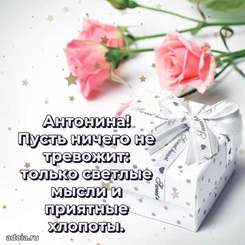 Открытка с пожеланиями Антонине для ватсапа