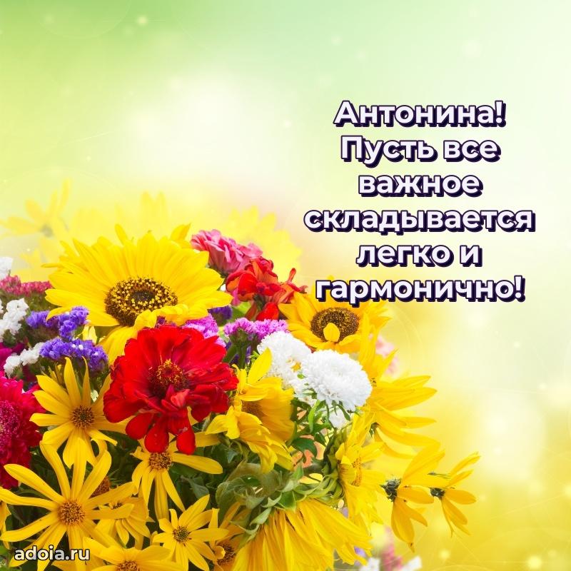 Мерцающая картинка Антонине с днем рождения
