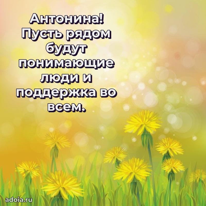 Новые открытки с днем рождения праздничные Антонине
