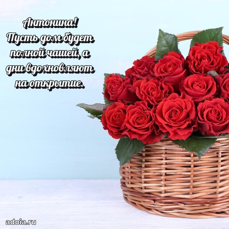 Открытка Антонине праздничная