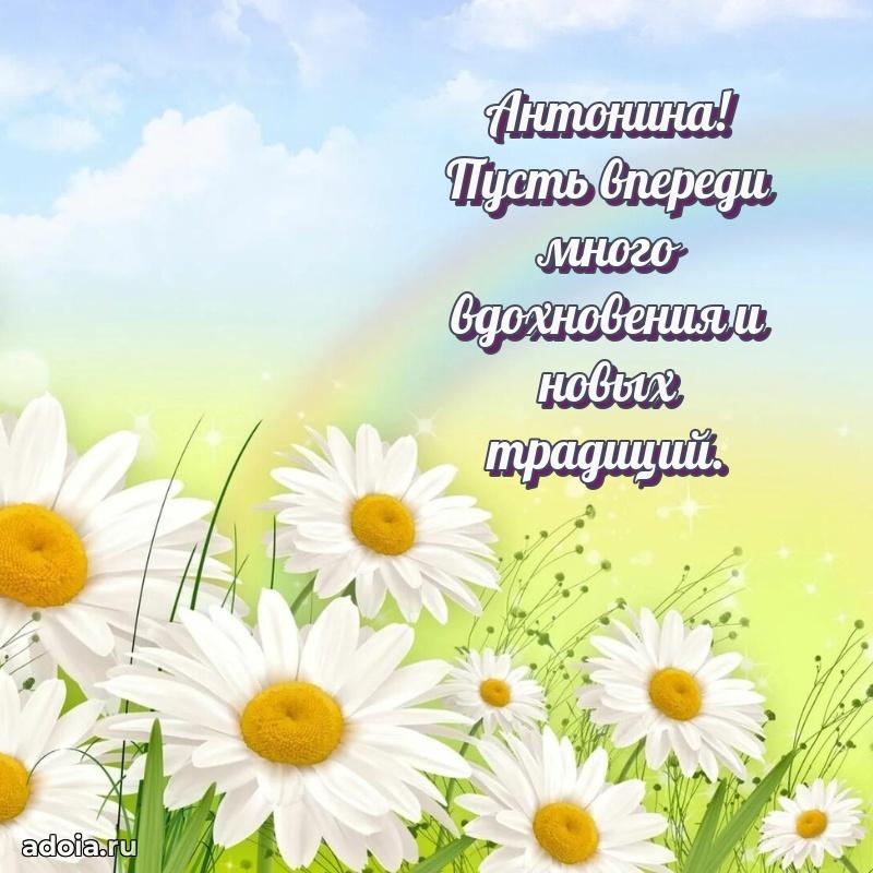 Открытка с пожеланиями Антонине для ватсапа
