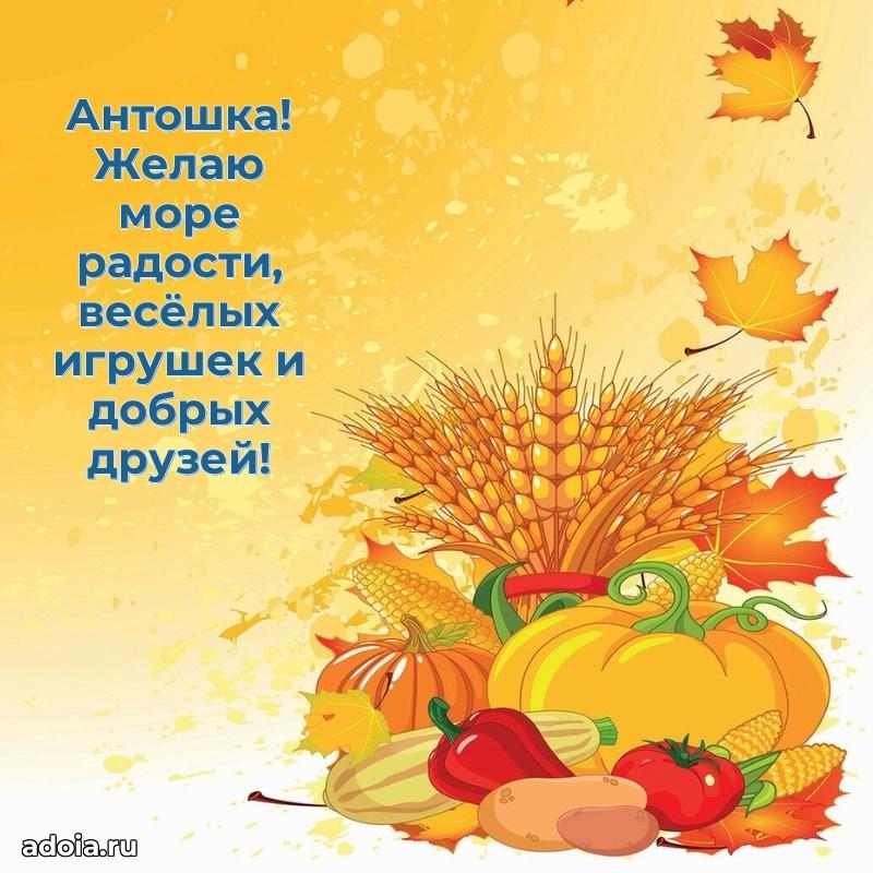 Мерцающая картинка Антону с днем рождения