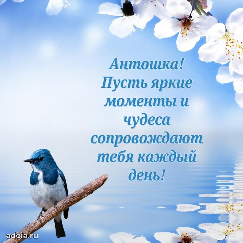 Поздравление с днем рождения мальчику