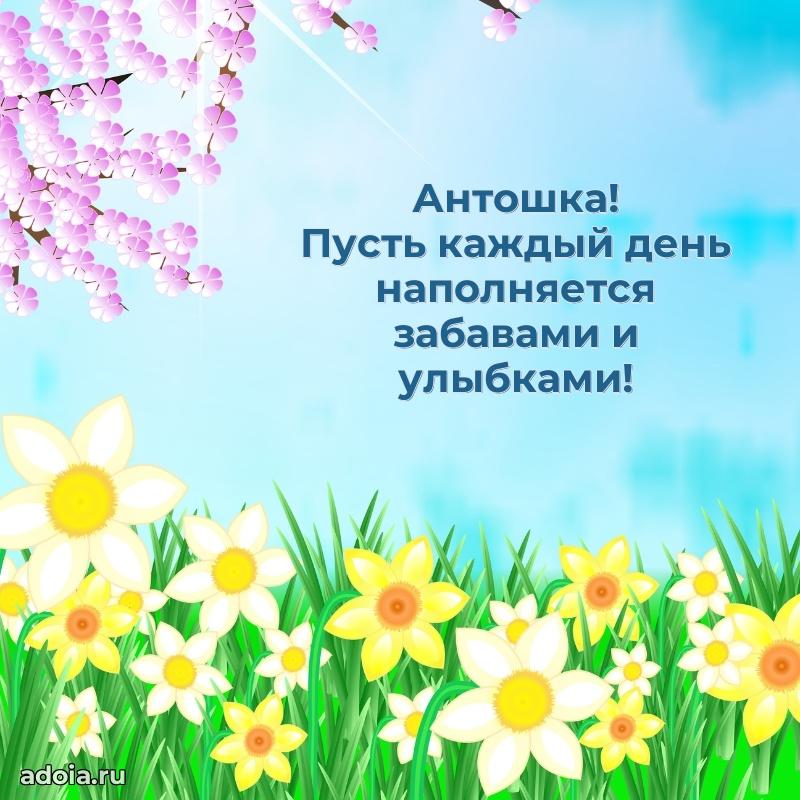 Пожелания маме сыночка Антону