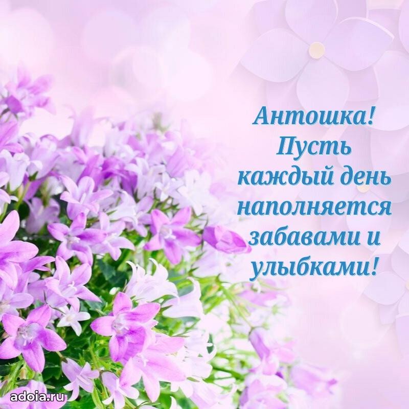 Открытка Антону ребенку