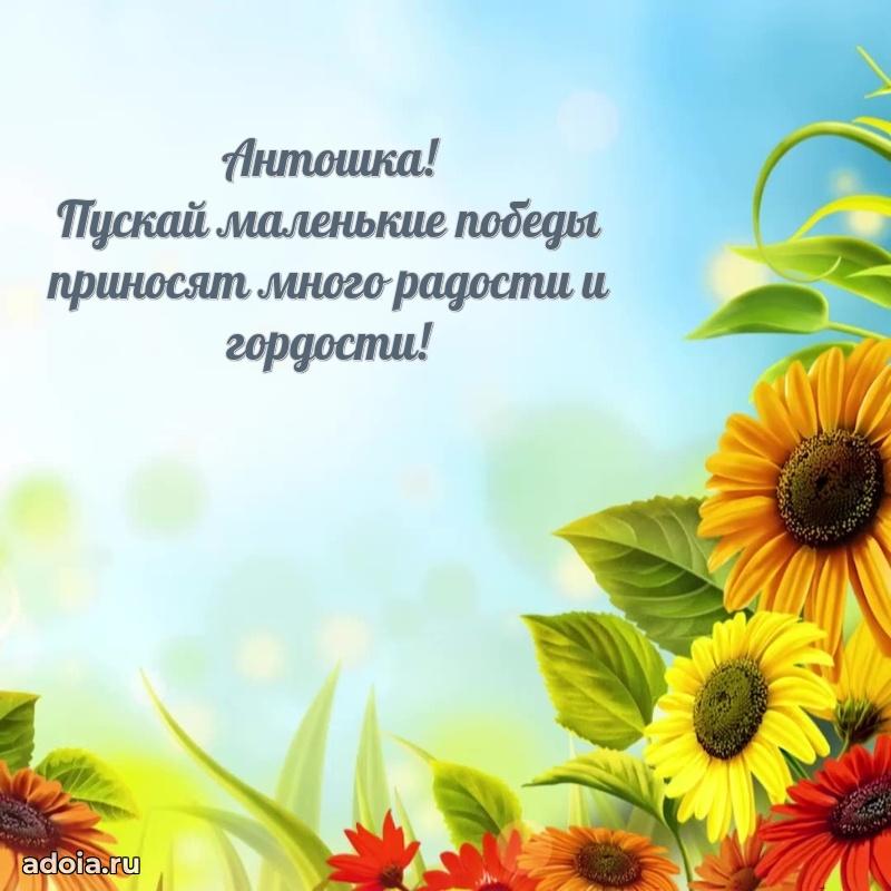 Поздравление Антону ребенку своими словами