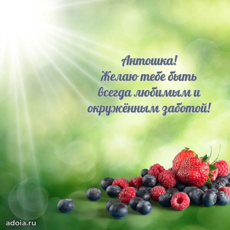 Поздравить племянника с др Антону