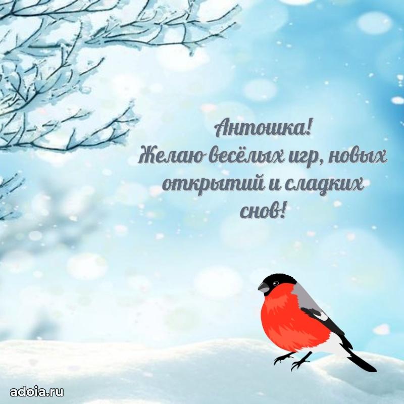 Поздравление мальчику Антону