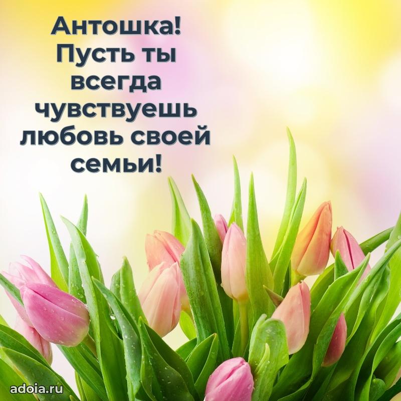 Яркая гифка Антону с днем рождения