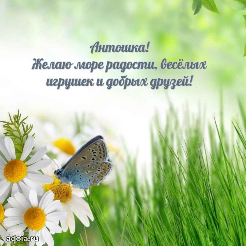 Открытка Антону ребенку