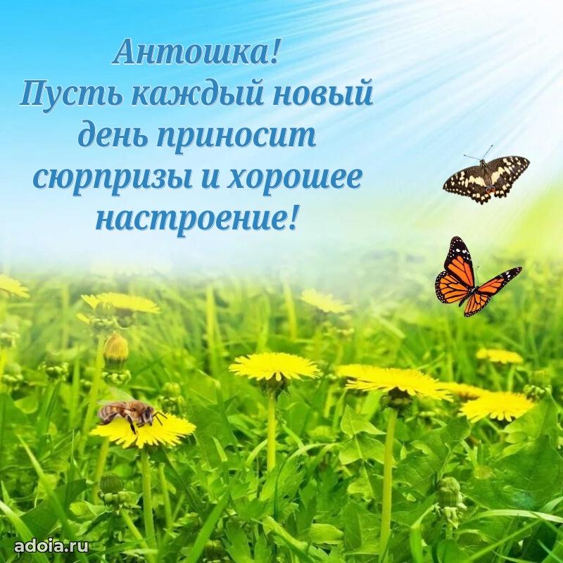 Поздравление мальчику Антону