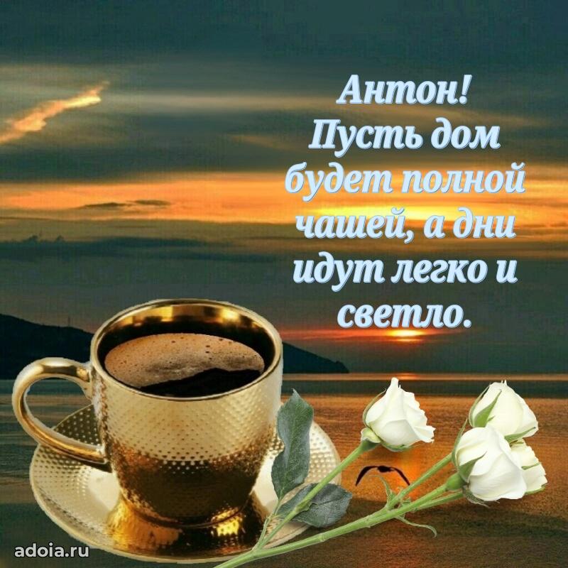 Поздравление мужчине Антону