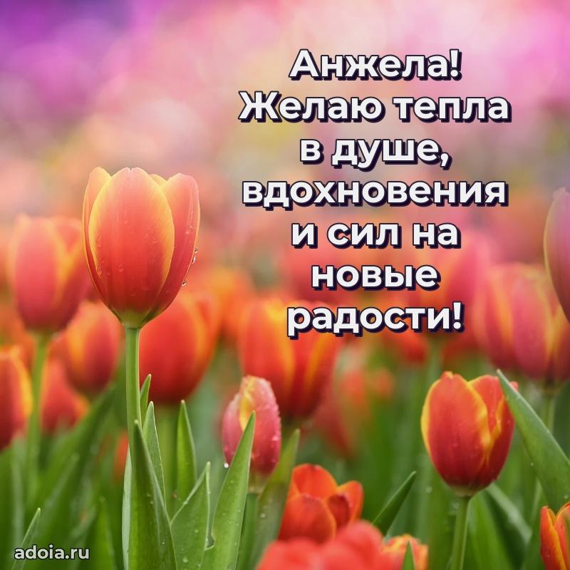Поздравление Анжеле праздничные своими словами в прозе