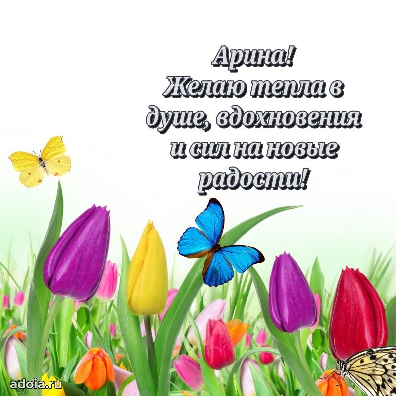 Открытка Арине праздничная