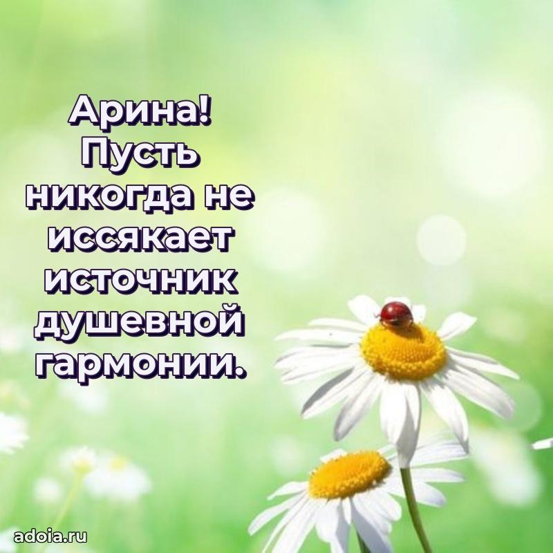 Картинка бабушке Арине