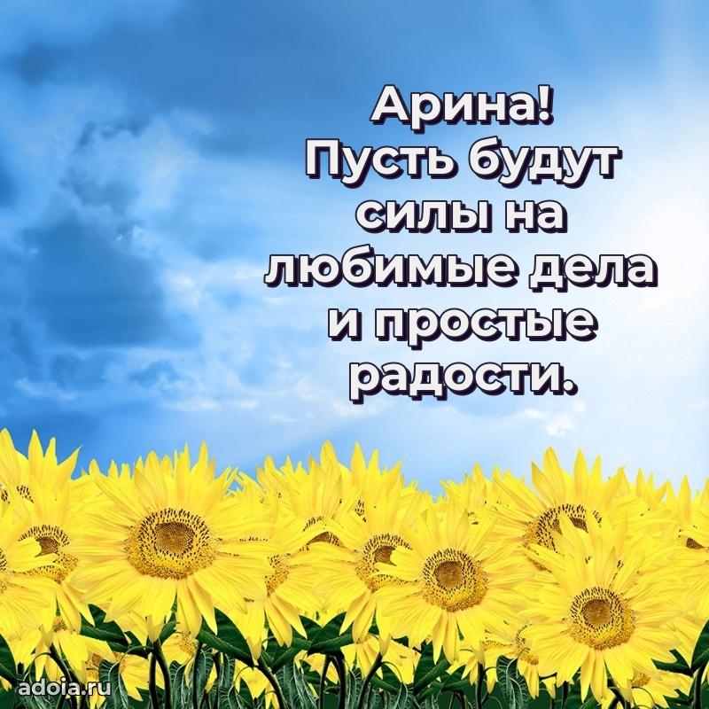 Поздравление Арине праздничные своими словами в прозе