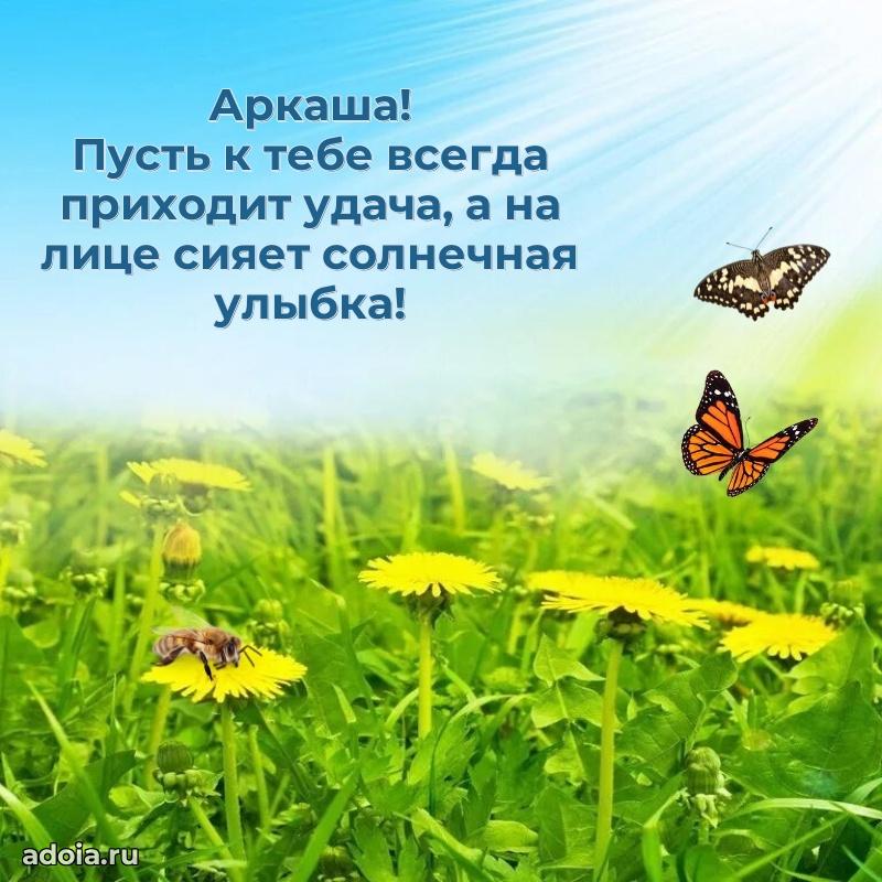 Поздравить племянника с др Аркадию