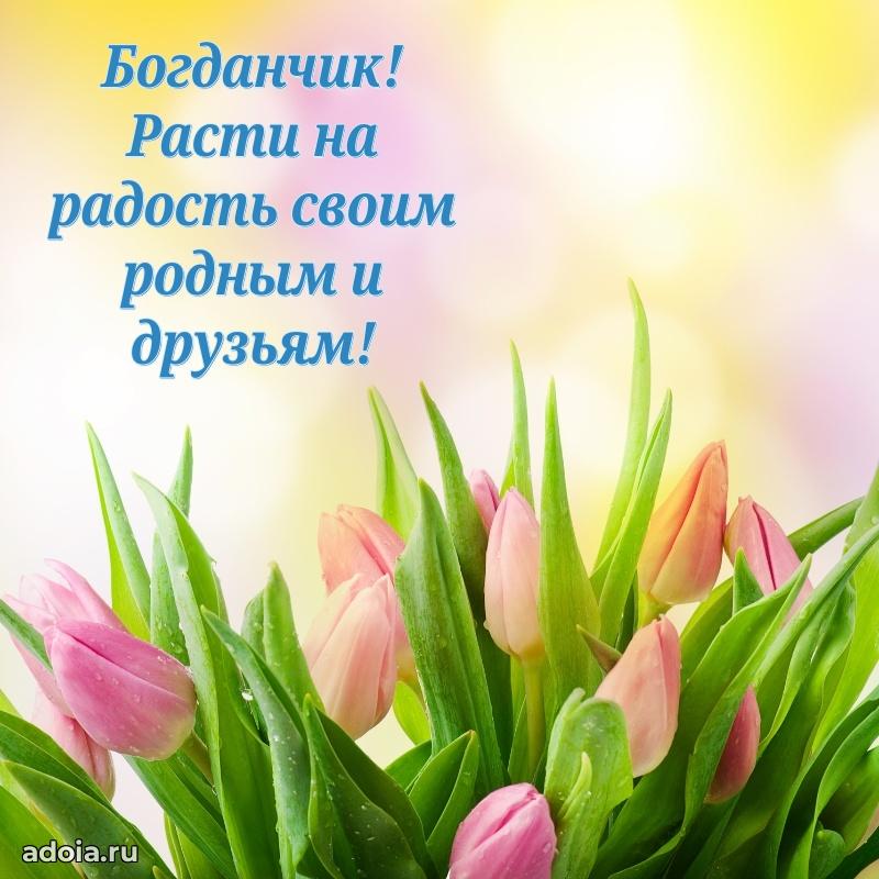 Картинка внуку Богдану