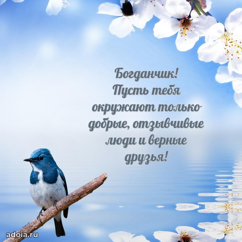 Поздравление Богдану ребенку своими словами