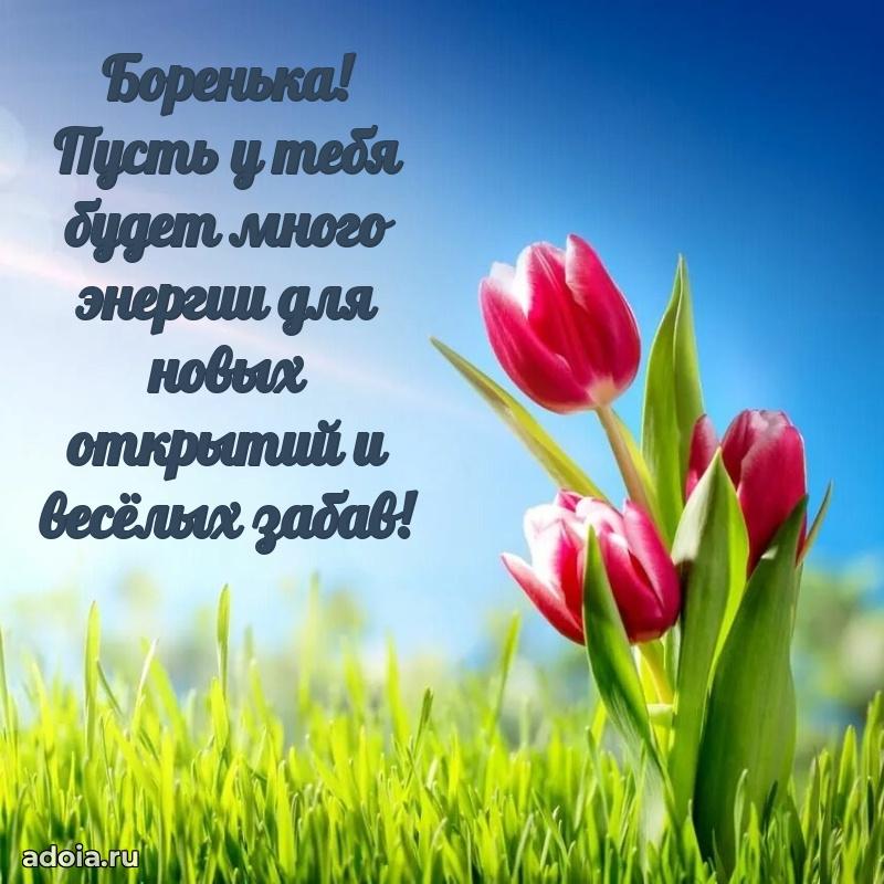 Открытка с пожеланиями Борису для ватсапа