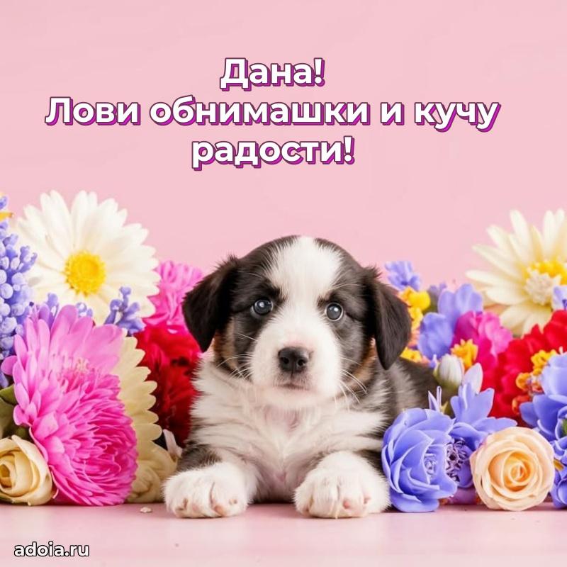 Картинка дочери Дане