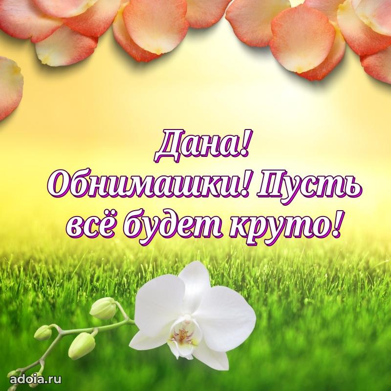 Новые открытки с днем рождения праздничные Дане