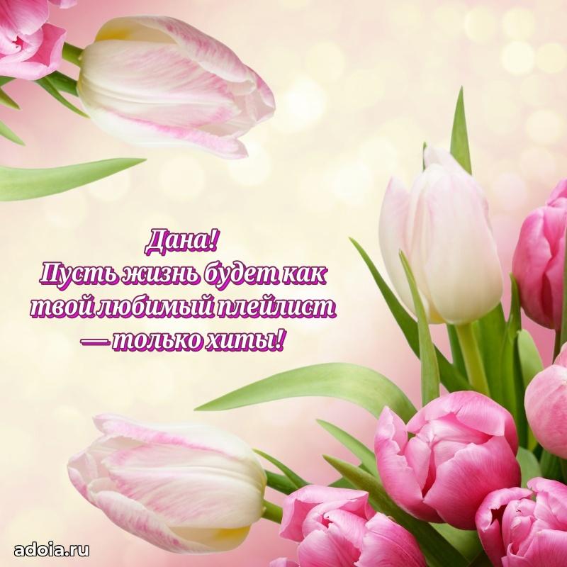 Смешная открытка для ватсап с днем рождения Дане