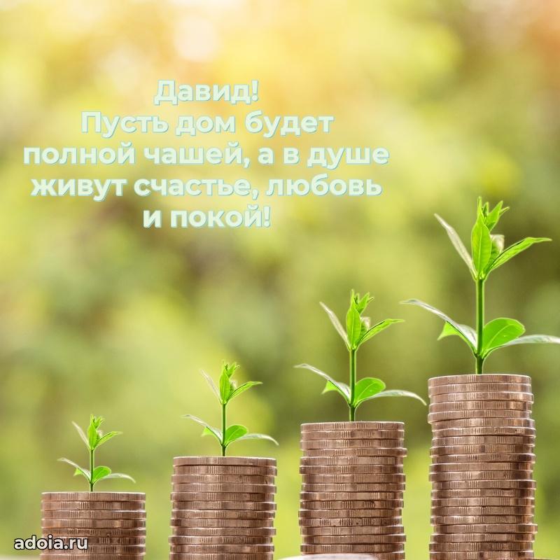 Поздравление Давиду праздничные своими словами