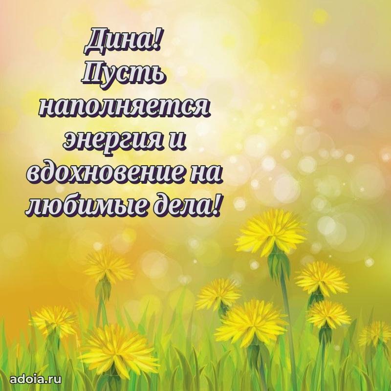 Поздравление Дине праздничные своими словами в прозе