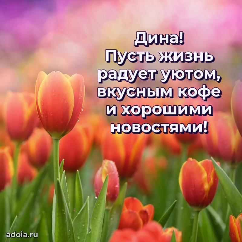 Поздравление женщине Дине