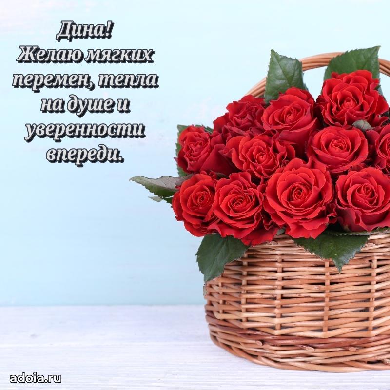 Смешная открытка для ватсап с днем рождения Дине