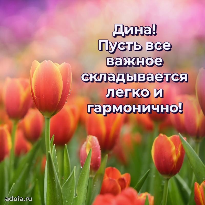Поздравление Дине праздничные своими словами в прозе