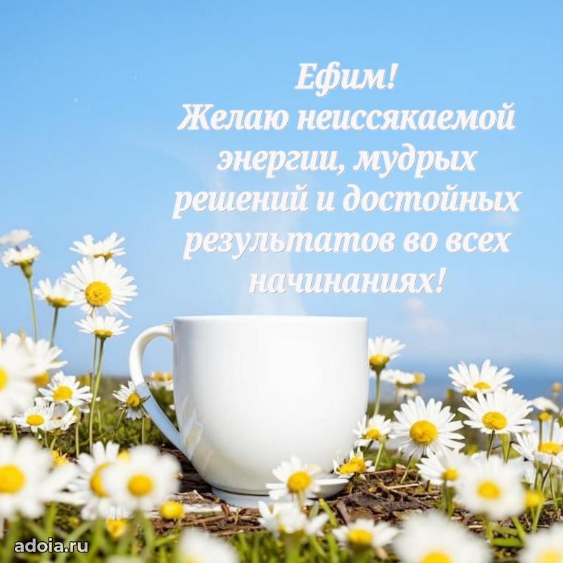 Открытка для ватсап с днем рождения Ефиму