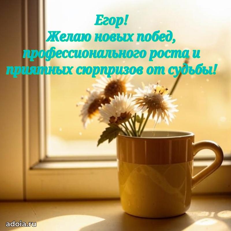 Мерцающая картинка сыну Егору с днем рождения