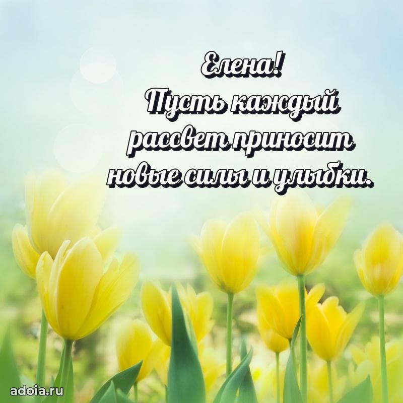 Яркая гифка Елене с днем рождения